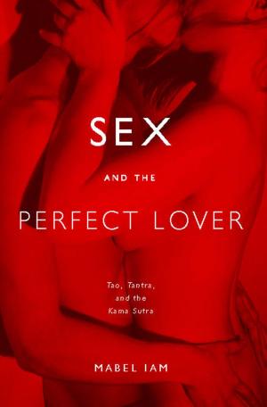 Cover of the book Sex and the Perfect Lover by Lisa Abend