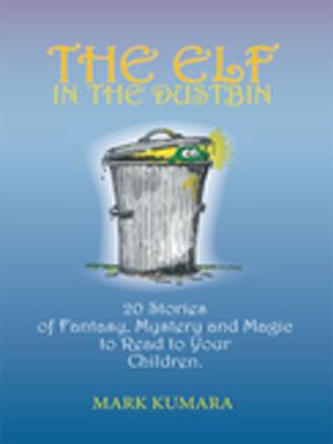 Cover of the book The Elf in the Dustbin by Darla Vasilas