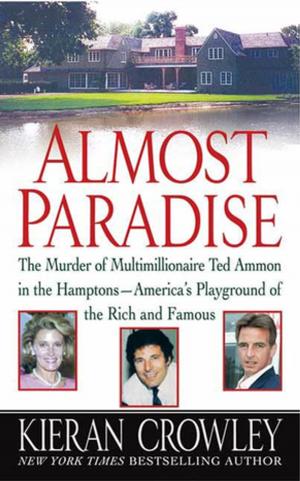 Cover of the book Almost Paradise by Steve Hamilton