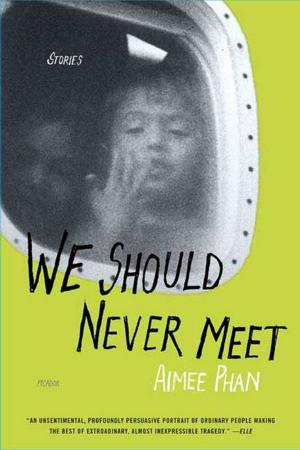 Cover of the book We Should Never Meet by Paula Marantz Cohen