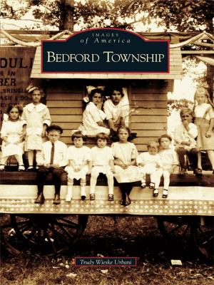Cover of the book Bedford Township by Robert E. Brennan, Jeannie I. Brennan