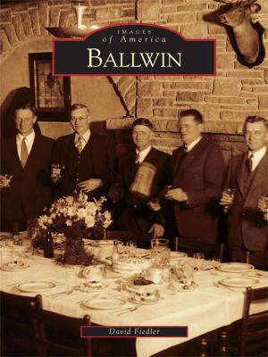 Cover of the book Ballwin by Mark Athitakis