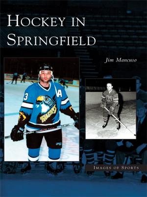 Cover of the book Hockey in Springfield by Theresa Mitchell Barbo