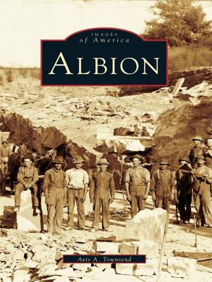 Cover of the book Albion by The Big Horn Basin Foundation