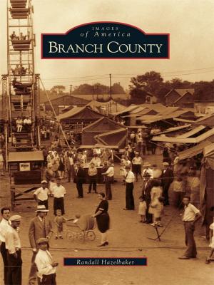 Cover of the book Branch County by James E. Casto
