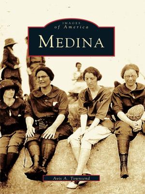 Cover of the book Medina by Joe Pelanconi