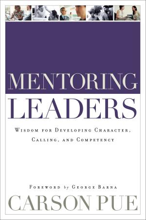 Cover of the book Mentoring Leaders by Alvin Dueck, Kevin Reimer