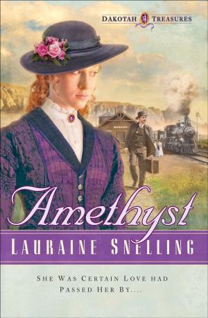 Cover of the book Amethyst (Dakotah Treasures Book #4) by Lauraine Snelling