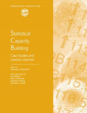 Cover of the book Statistical Capacity Building: Case Studies and Lessons Learned by S. M. Ali  Abbas, Bernardin  Mr. Akitoby, Jochen R. Mr. Andritzky, Helge  Mr. Berger, Takuji  Mr. Komatsuzaki, Justin  Tyson