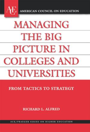 Cover of the book Managing the Big Picture in Colleges and Universities by Hayim Herring, president