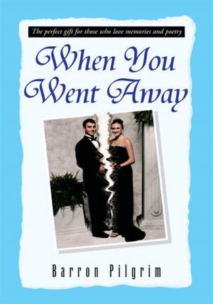 Cover of the book When You Went Away by Jennifer Taylor