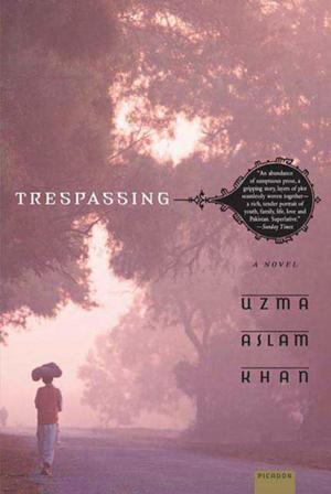 Cover of the book Trespassing by Ellen Rosenberg