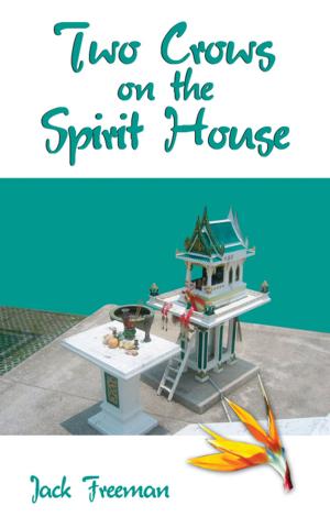 Cover of the book Two Crows on the Spirit House by Don Colonne Ph.D.