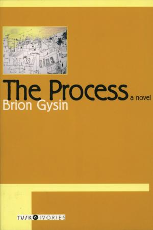 Cover of the book The Process by Irene S. Levine