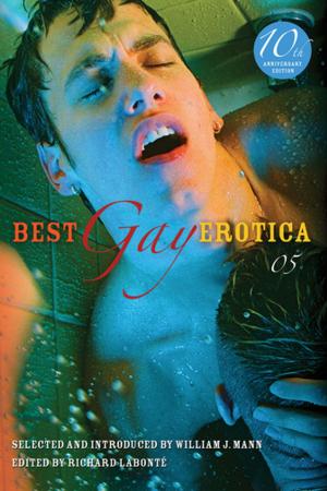 Cover of Best Gay Erotica 2005