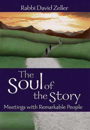 Cover of the book The Soul of the Story by Rabbi Zalman M. Schachter-Shalomi with Donald Gropman