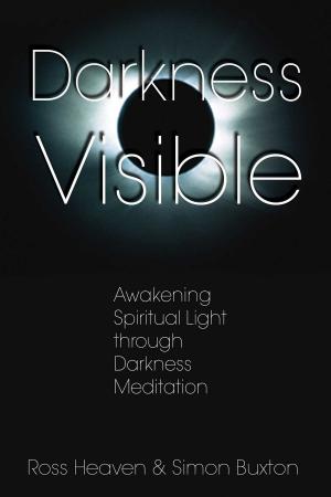 Book cover of Darkness Visible