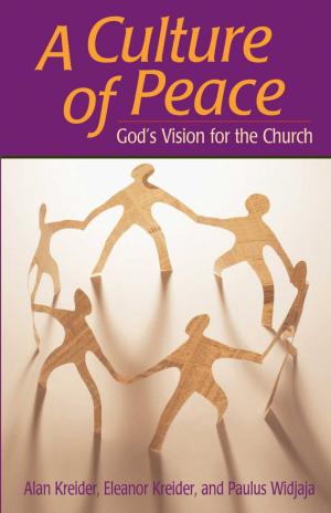 Cover of the book Culture of Peace by David Brubaker