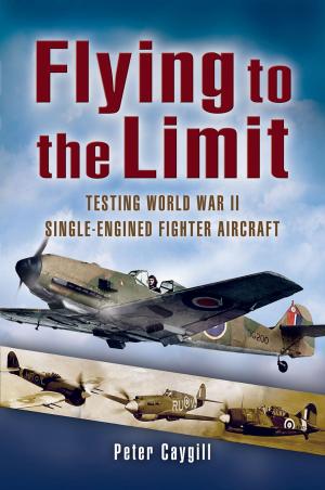 Cover of the book Flying to the Limit by Keaveney, Dr. Arthur