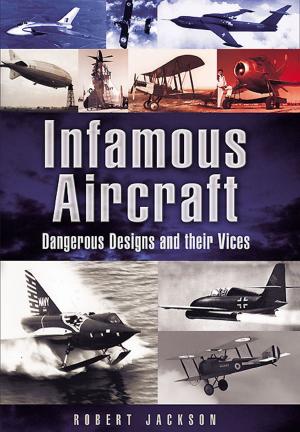 Cover of the book Infamous Aircraft by John  Sheen
