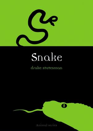 Cover of the book Snake by Chris Rojek