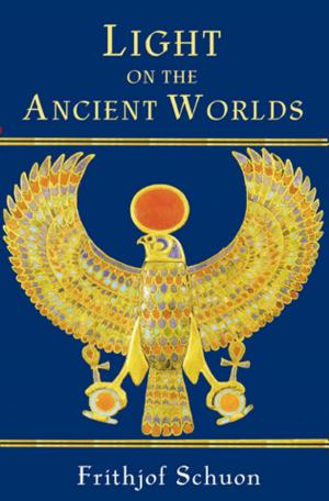 Cover of the book Light on the Ancient Worlds by Jean Bies