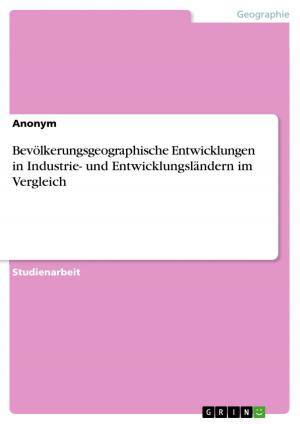 Cover of the book Bevölkerungsgeographische Entwicklungen in Industrie- und Entwicklungsländern im Vergleich by Britta Siegert