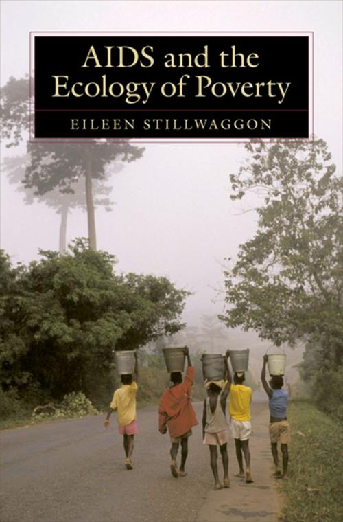 Cover of the book AIDS and the Ecology of Poverty by Eileen Stillwaggon, Oxford University Press