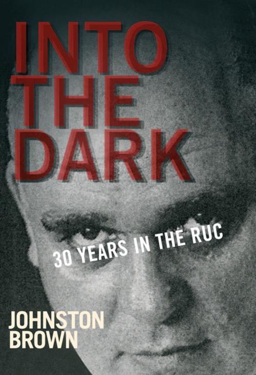 Cover of the book Into the Dark by Johnston Brown, Gill Books