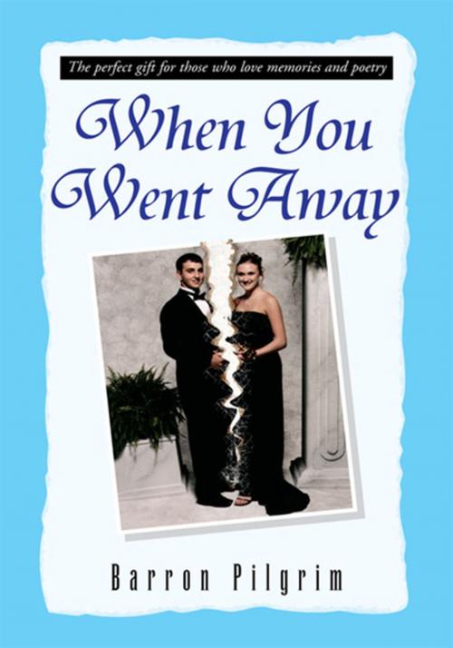 Cover of the book When You Went Away by Barron Pilgrim, Xlibris US