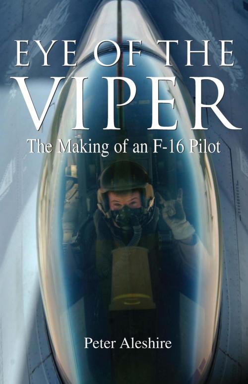 Cover of the book Eye of the Viper by Peter Aleshire, Lyons Press