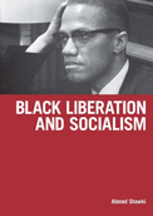 Cover of the book Black Liberation and Socialism by Ahmed Shawki, Haymarket Books