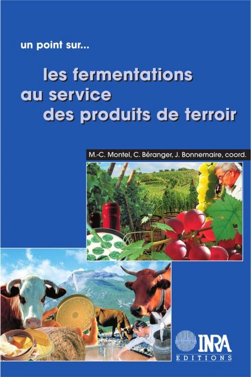 Cover of the book Les fermentations au service des produits de terroir by Marie-Christine Montel, Joseph Bonnemaire, Claude Béranger, Quae