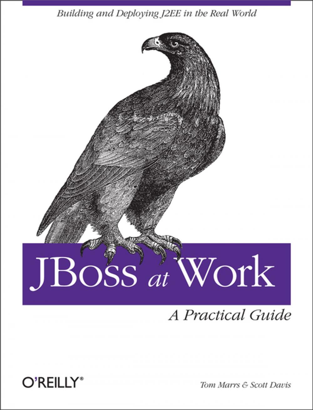 Big bigCover of JBoss at Work: A Practical Guide