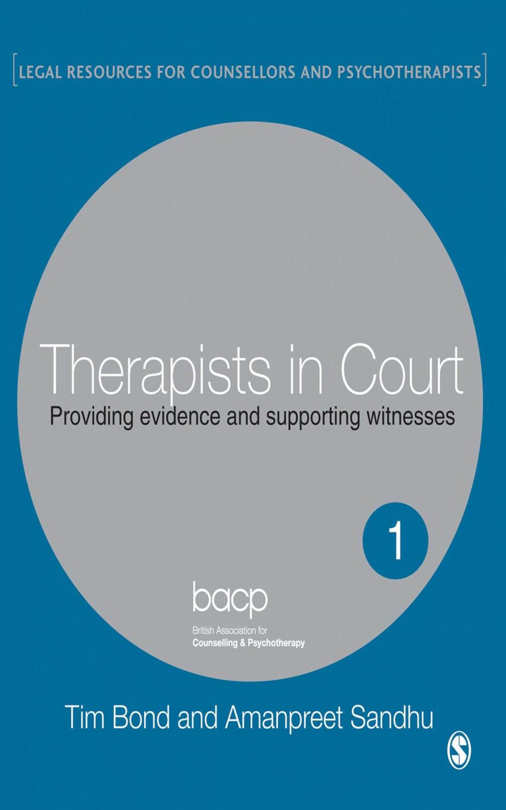 Big bigCover of Therapists in Court