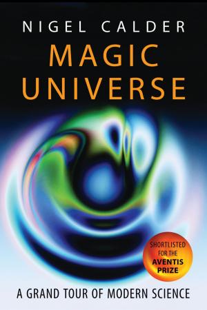 Book cover of Magic Universe