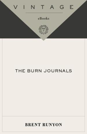 Cover of the book The Burn Journals by Stephen R. Platt