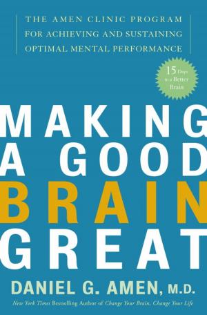 Cover of the book Making a Good Brain Great by 馬銀春
