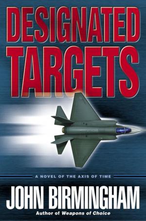Cover of the book Designated Targets by Maeve Greyson