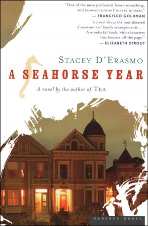 Cover of the book A Seahorse Year by Louis Auchincloss