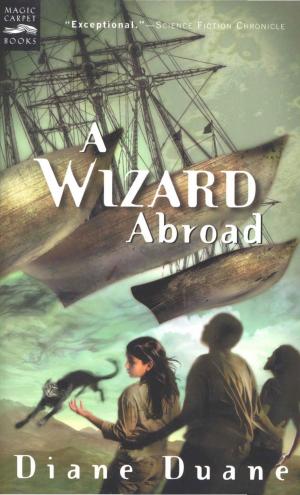 Cover of A Wizard Abroad by Diane Duane, HMH Books