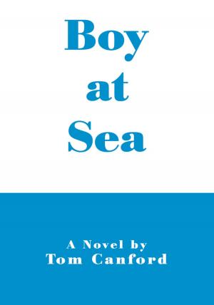 Cover of the book Boy at Sea by Lynn Lee Bryant