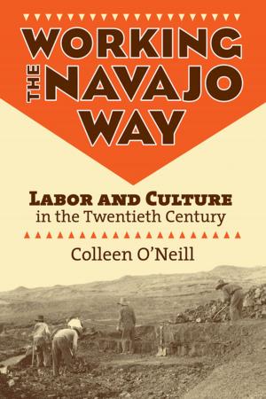 Cover of the book Working the Navajo Way by David A. J. Richards