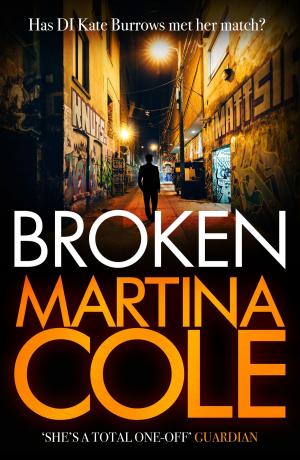 Cover of the book Broken by Alex Bell