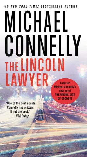 Cover of the book The Lincoln Lawyer by David Christian