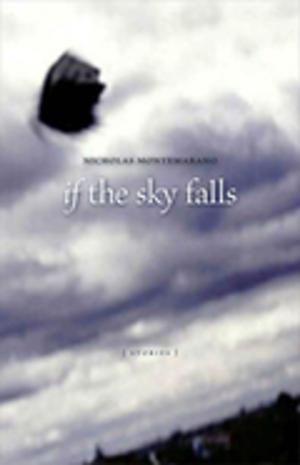 Cover of the book If the Sky Falls by Emily Epstein Landau, Alecia P. Long, Judith Kelleher Schafer