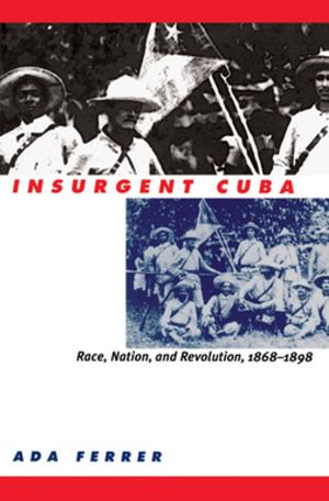 Cover of the book Insurgent Cuba by Jim Dean