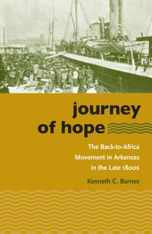 Cover of the book Journey of Hope by Eli Rubin