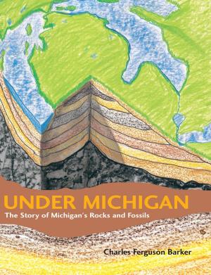 Cover of the book Under Michigan by Heather Shumaker