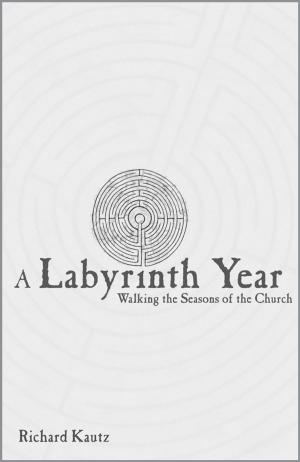 Book cover of A Labyrinth Year